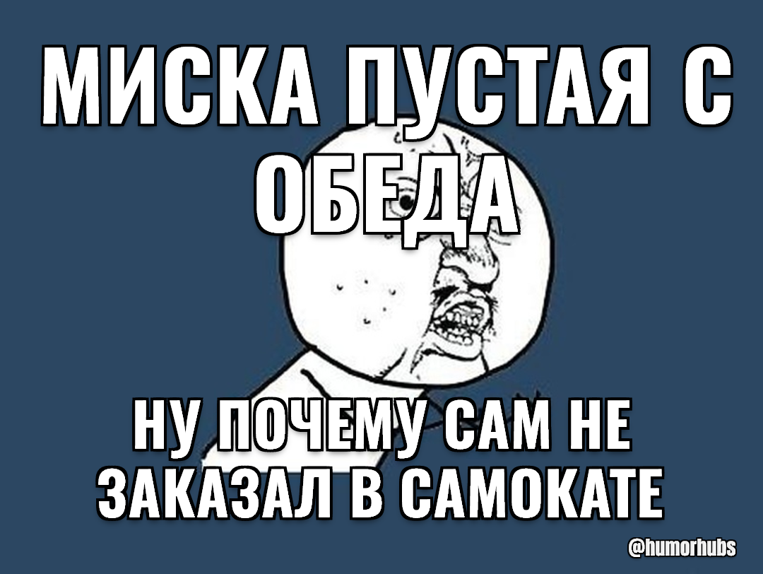 Миска пустая с обеда — а сам весь день жрал у соседей