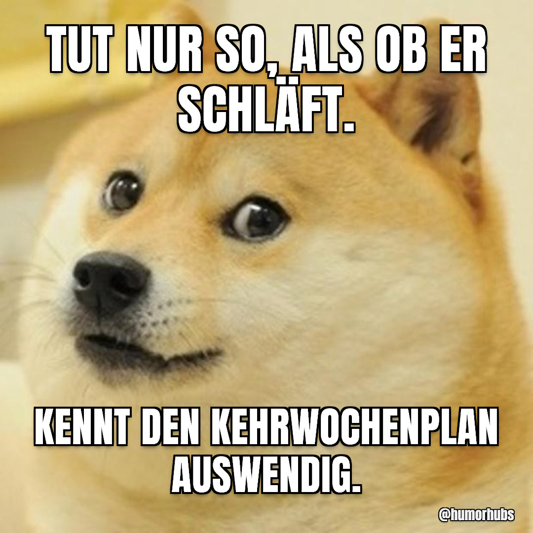 Schlaf nur zum Schein — In Wirklichkeit hellwach