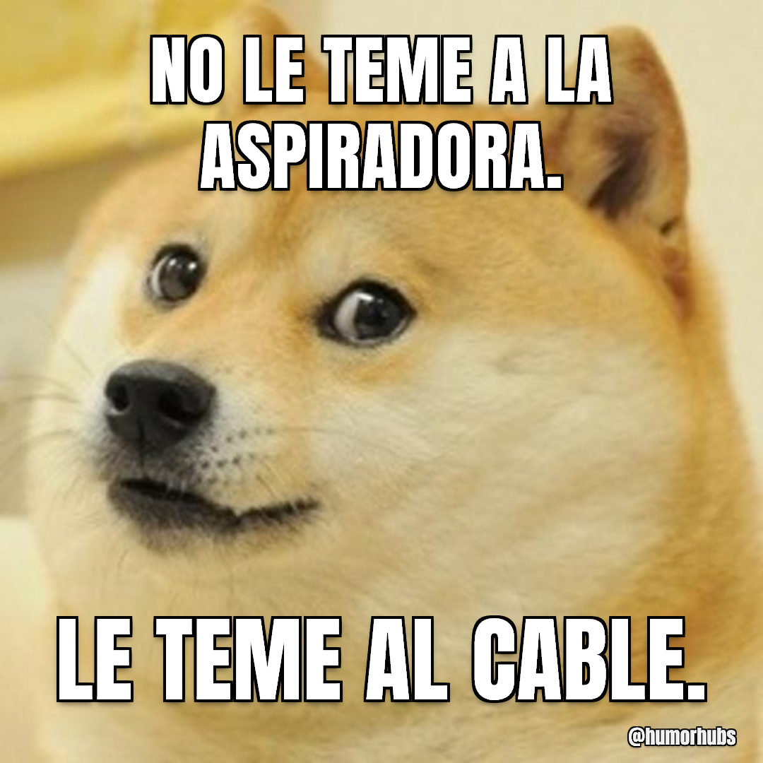 Dormido, pero no tanto — En realidad bien despierto