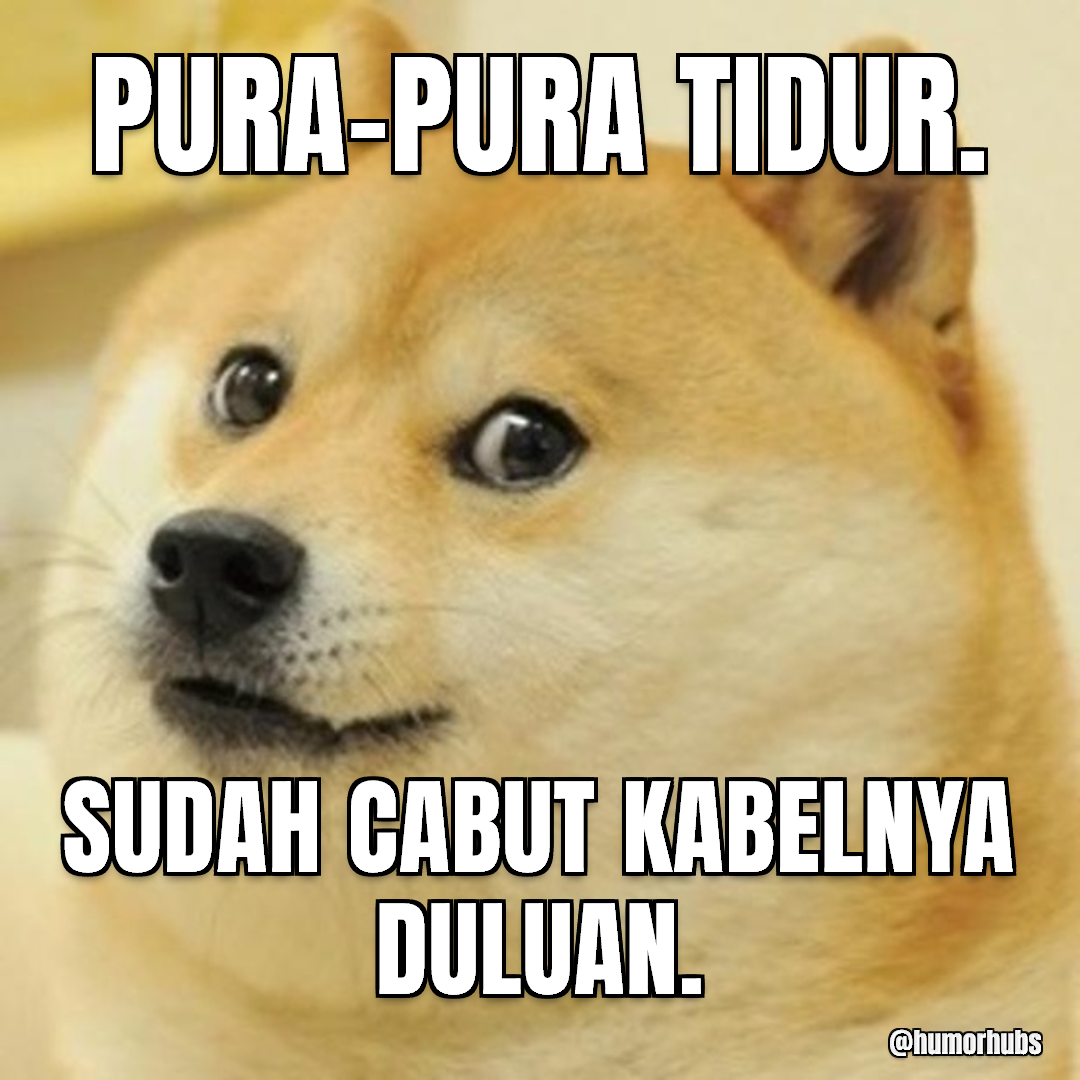 Pura-pura molor total — Kuping siaga penuh