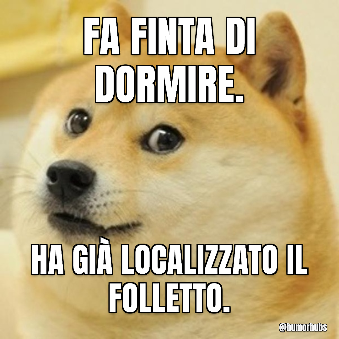 Dorme, ma non troppo — In realtà sveglissimo