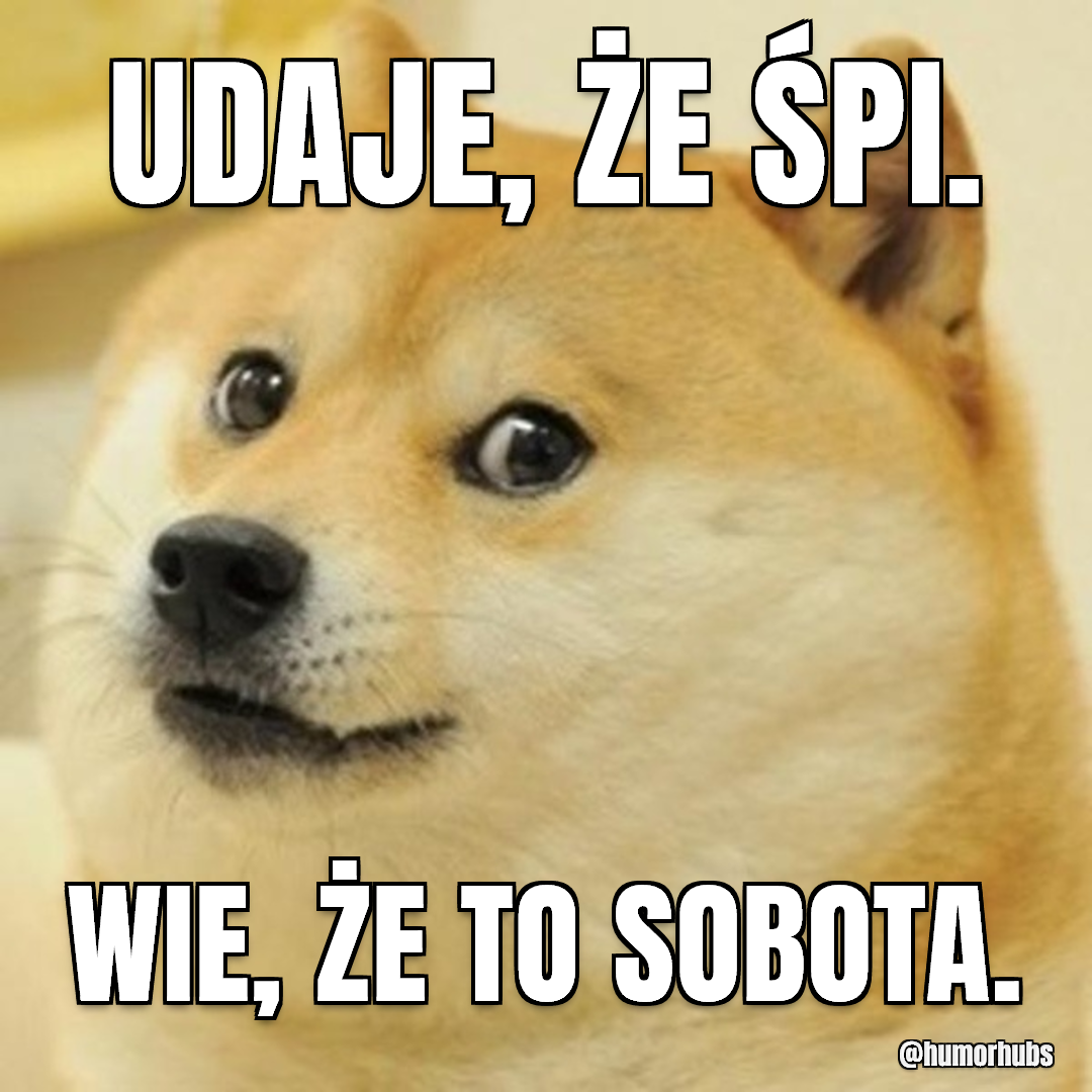 Śpi, ale niezupełnie — W rzeczywistości czujny jak radar