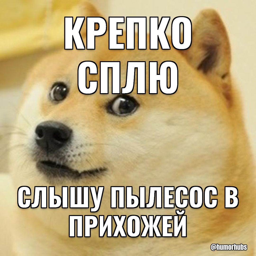 Сплю. — Уже наметил, куда укушу шнур.