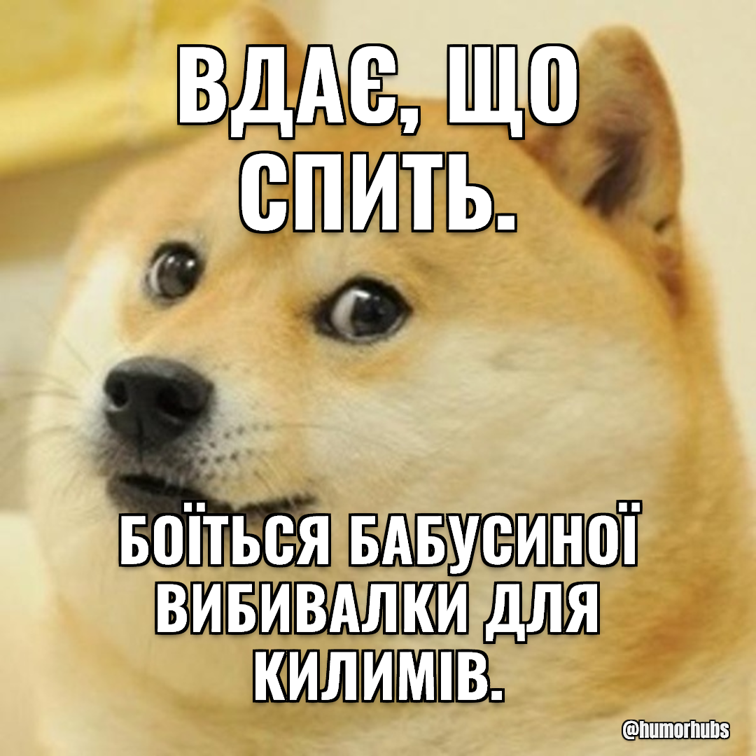 Вдає, що спить — Насправді дуже пильний