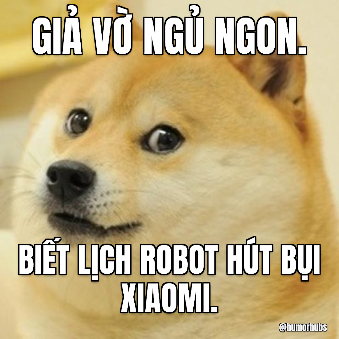 Giả bộ ngủ khò — Mắt nhắm tai vẫn dựng