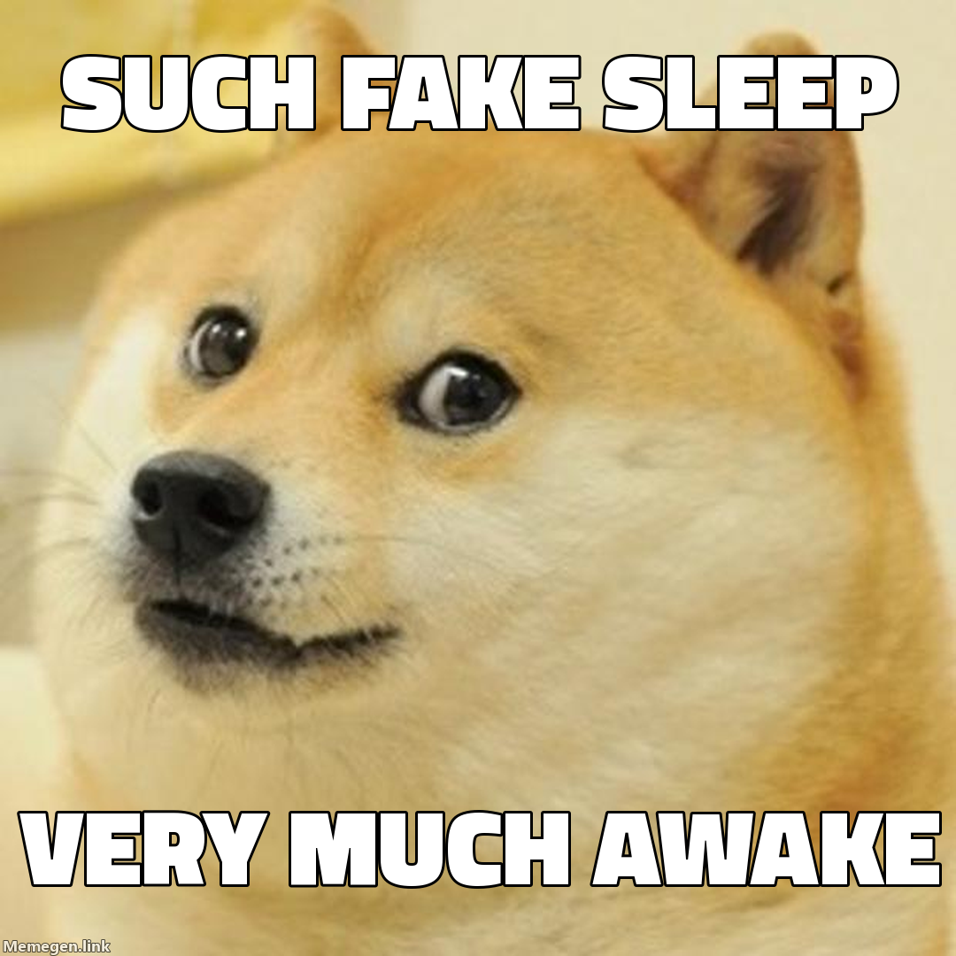 such fake sleep — very much awake