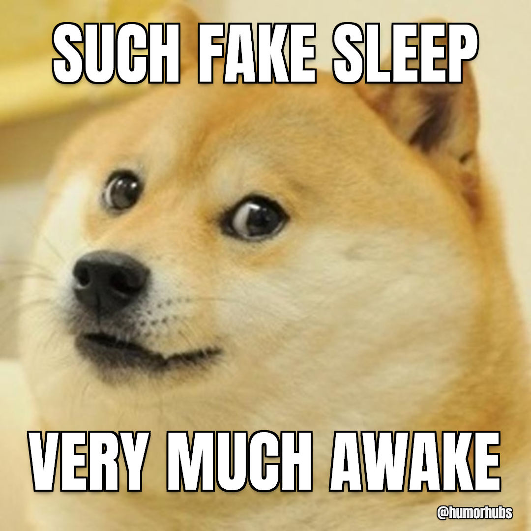 such fake sleep — very much awake
